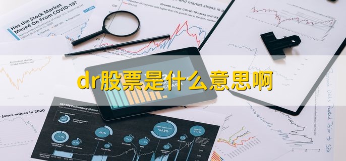 dr股票是什么意思啊，当天是这支股票的除权除息日