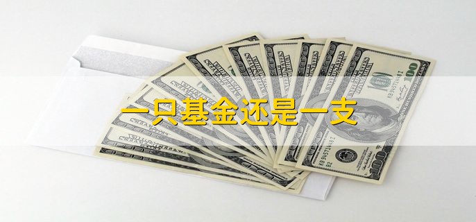 一只基金还是一支，一支基金