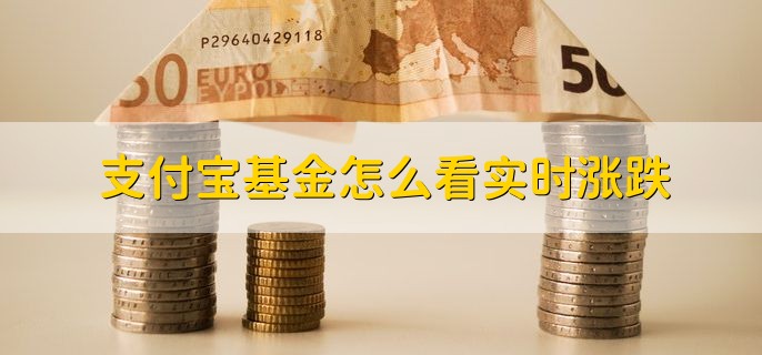 支付宝基金怎么看实时涨跌，基金产品详情页面上