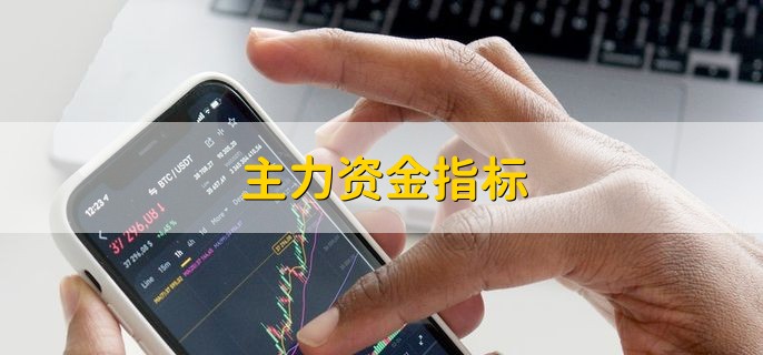主力资金指标，意味着资金持仓的实力
