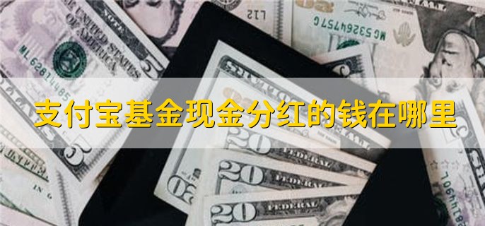 支付宝基金现金分红的钱在哪里，支付宝余额宝里