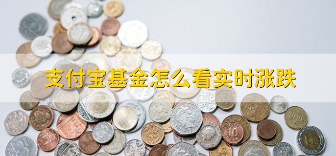 支付宝基金怎么看实时涨跌，基金产品详情页面上