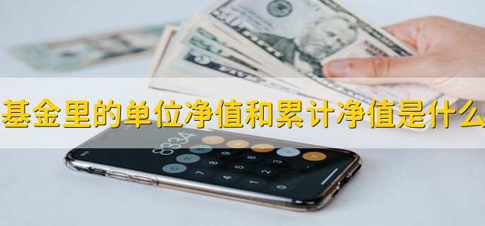 基金里的单位净值和累计净值是什么意思，有以下两种