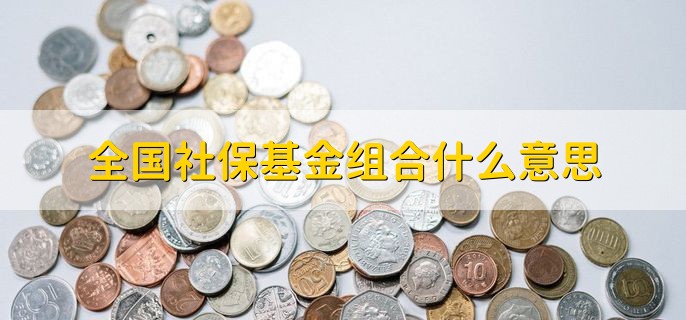 全国社保基金组合什么意思，社保基金的投资组合