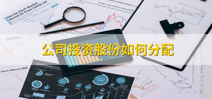 公司投资股份如何分配，可以由投资人共同均分