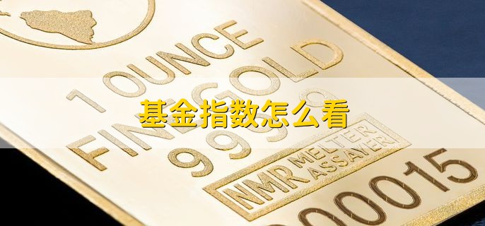 基金指数怎么看，通过金融软件或证券官网查看