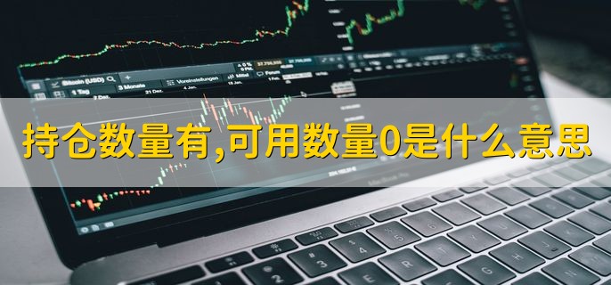 持仓数量有，可用数量0是什么意思