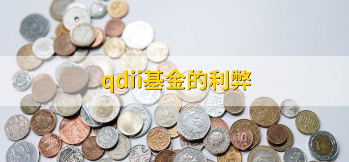 qdii基金的利弊，有以下两大点