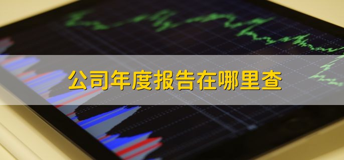 公司年度报告在哪里查，年报逾期的后果