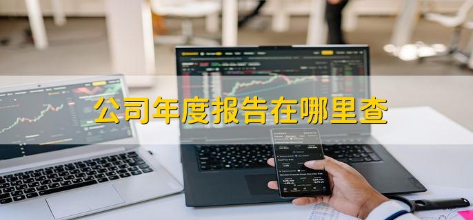 公司年度报告在哪里查，年报逾期的后果