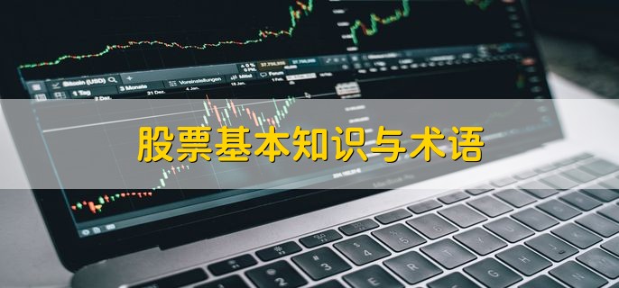 股票基本知识与术语，有以下两大点