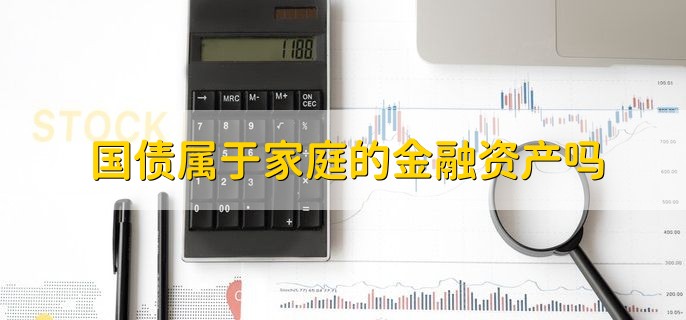 国债属于家庭的金融资产吗，属于