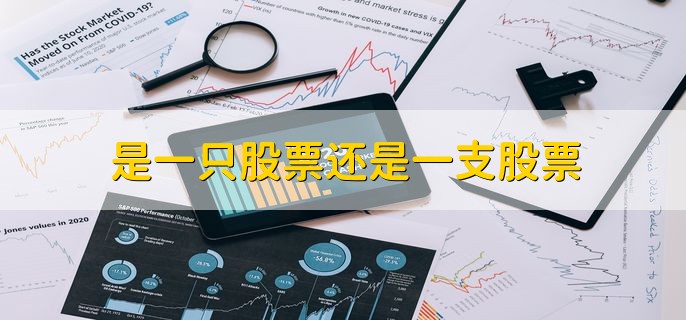 是一只股票还是一支股票，一只股票