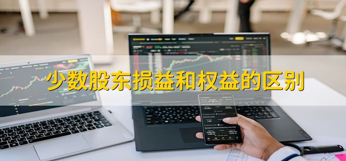 少数股东损益和权益的区别，分以下两点