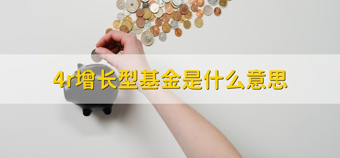 4r增长型基金是什么意思，风险进取型基金