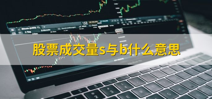 股票成交量s与b什么意思，分以下两点