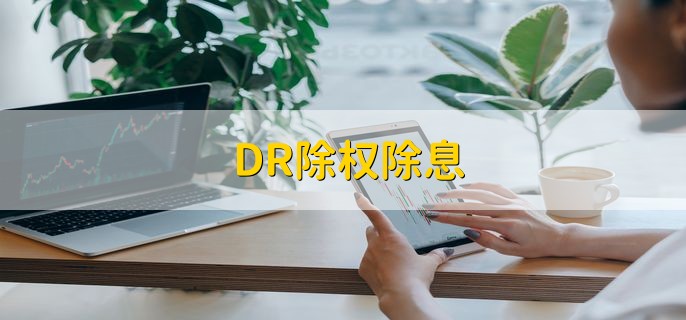 DR除权除息，是股票分红的过程