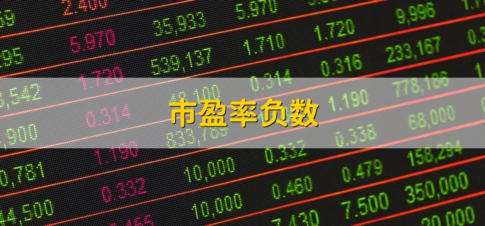 市盈率负数，表明公司净利润是亏损的
