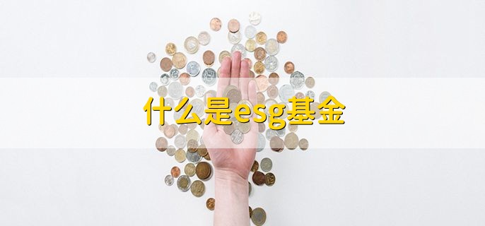 什么是esg基金，可持续发展基金