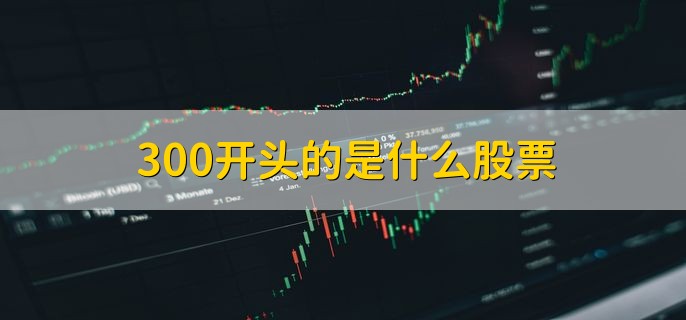 300开头的是什么股票，创业板股票