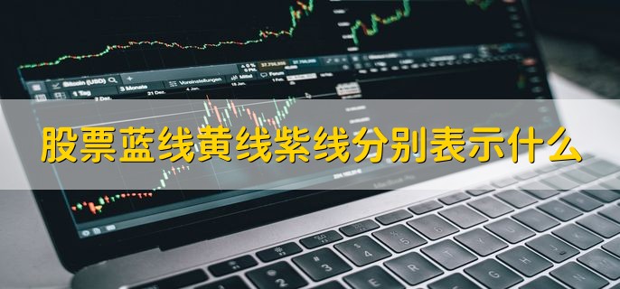 股票蓝线黄线紫线分别表示什么，有以下三点详细解释