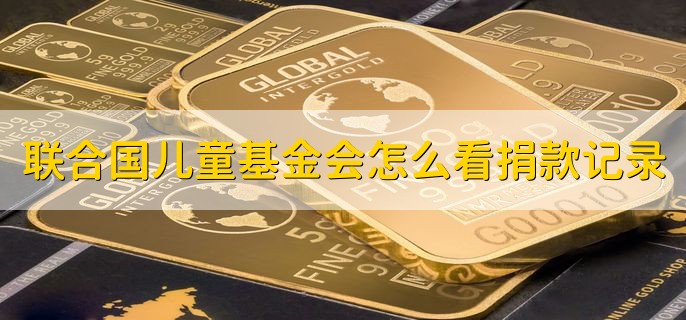 联合国儿童基金会怎么看捐款记录，有以下两种方式