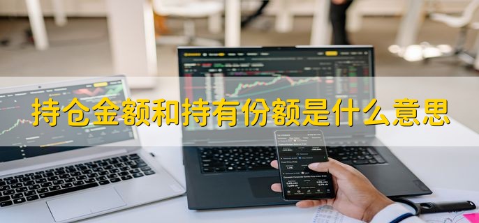 持仓金额和持有份额是什么意思，可分为两点