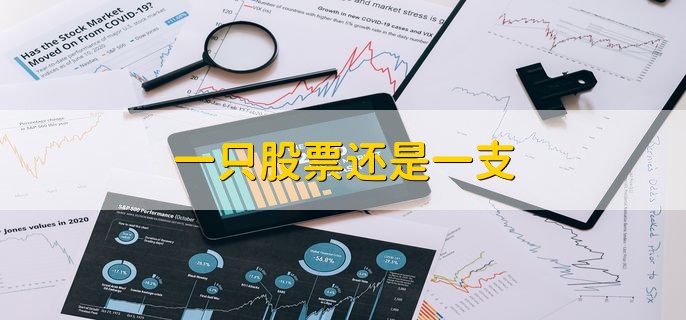 一只股票还是一支，都可以