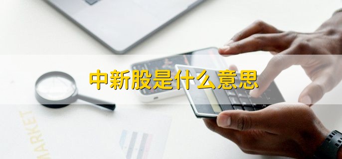 中新股是什么意思，中签了新股发行的股票